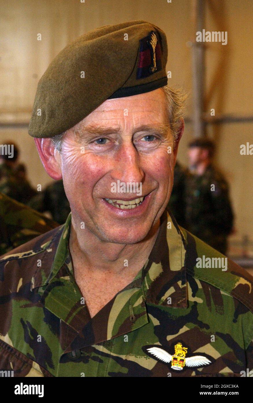 Head head shot royal beret prince of wales prince charles hires stock