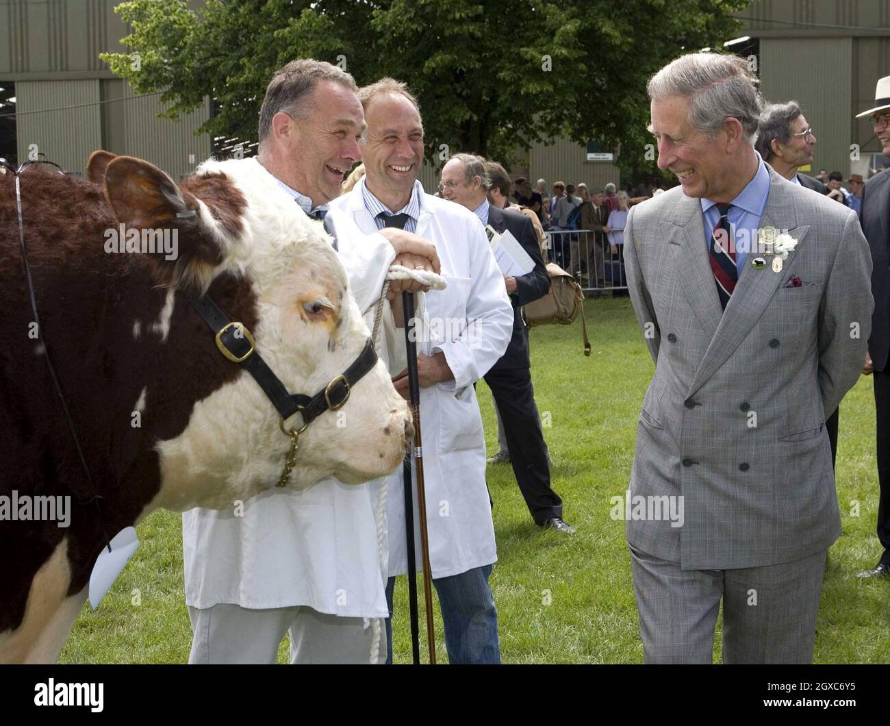 Prince Charles, Prince of Wales watches the judging of Hereford Bulls and presents the prizes at the Three Counties Show in Malvern, Worcestershire. Stock Photo
