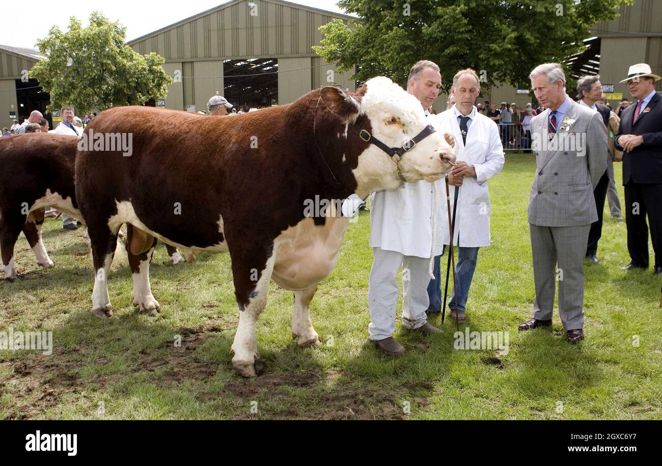 Prince Charles, Prince of Wales watches the judging of Hereford Bulls and presents the prizes at the Three Counties Show in Malvern, Worcestershire. Stock Photo