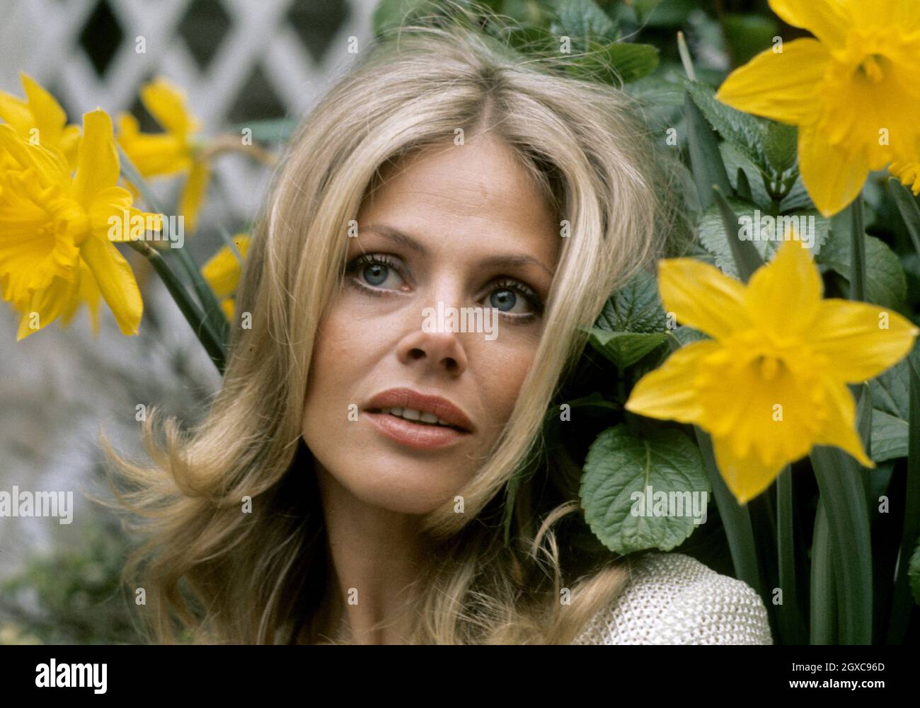 Swedish actress Britt Ekland, circa 1975 Stock Photo