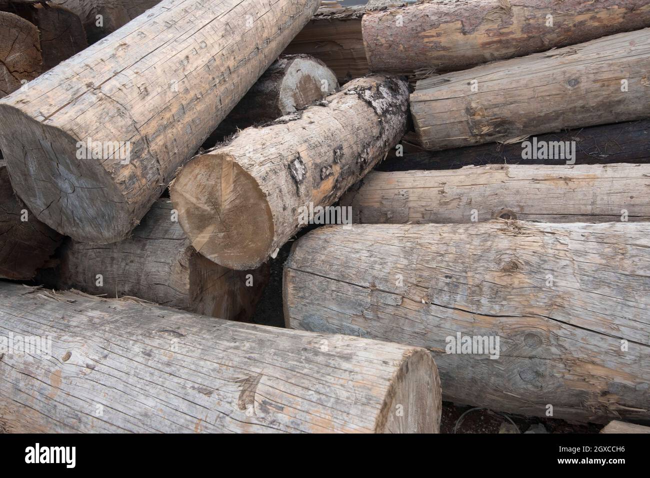 solid cubic meter as a unit of measurement in wood and timber industry