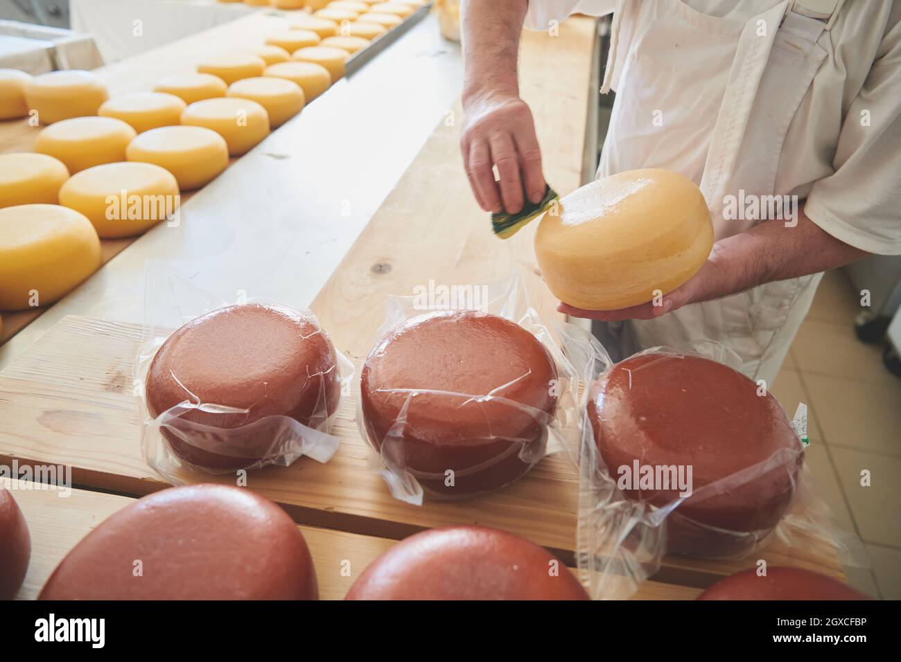 Man is a cheese maker in the process of producing different varieties of  cheese in the industry. Milk cheese making Stock Photo