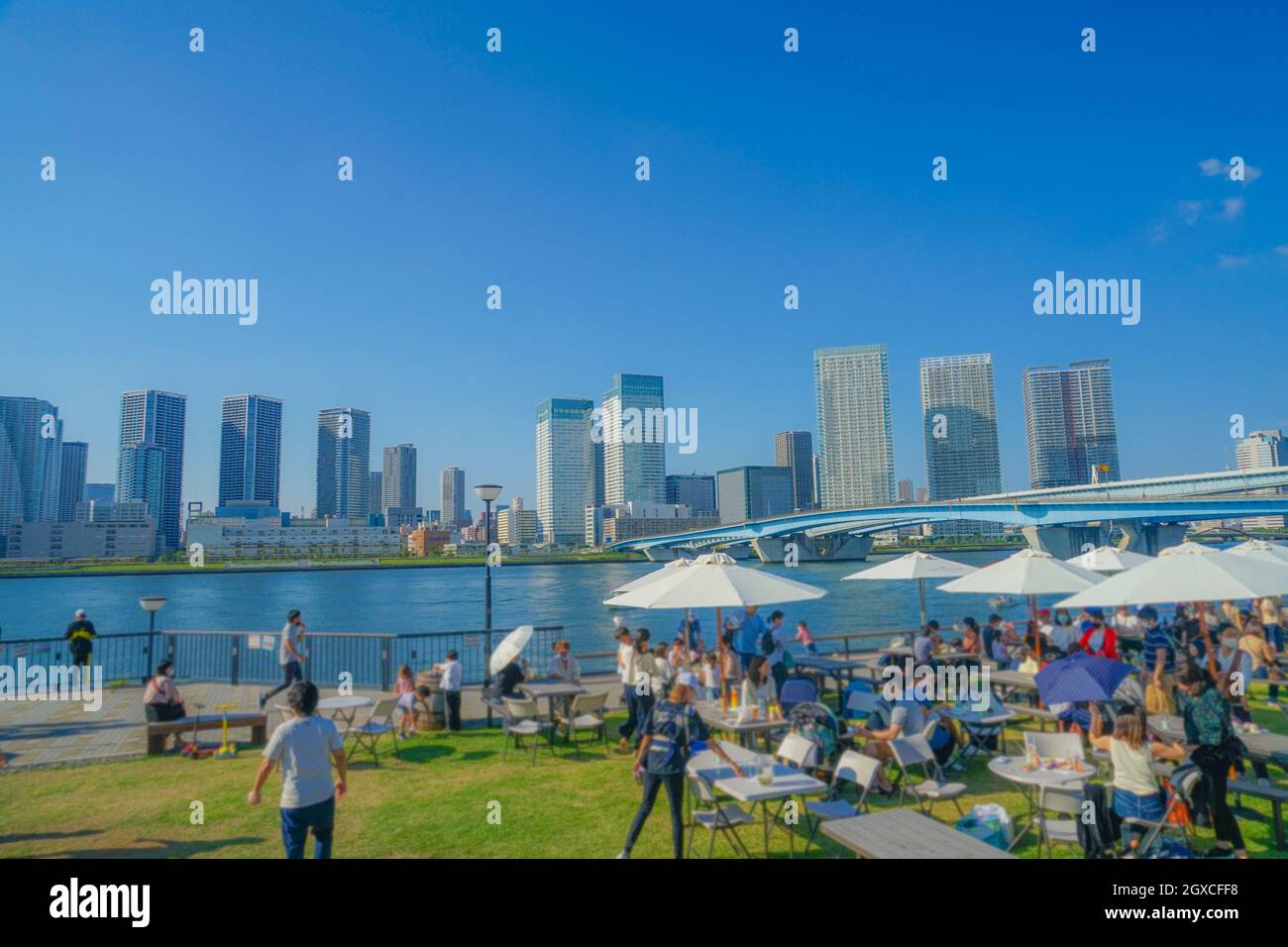 Gran ping of Toyosu all around park. Shooting Location: Tokyo metropolitan area Stock Photo