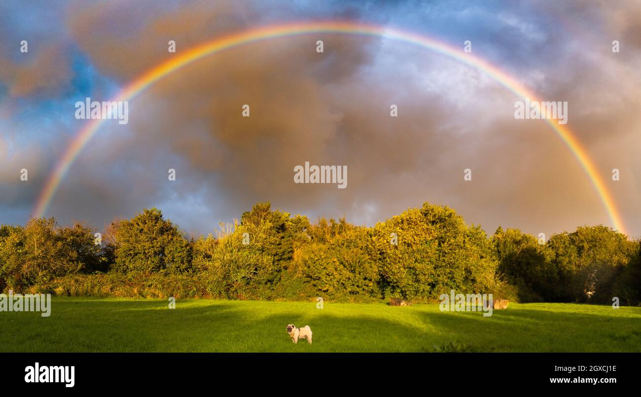 Wadebridge, Cornwall, UK,. 5th October 2021. UK Weather. Caught in a