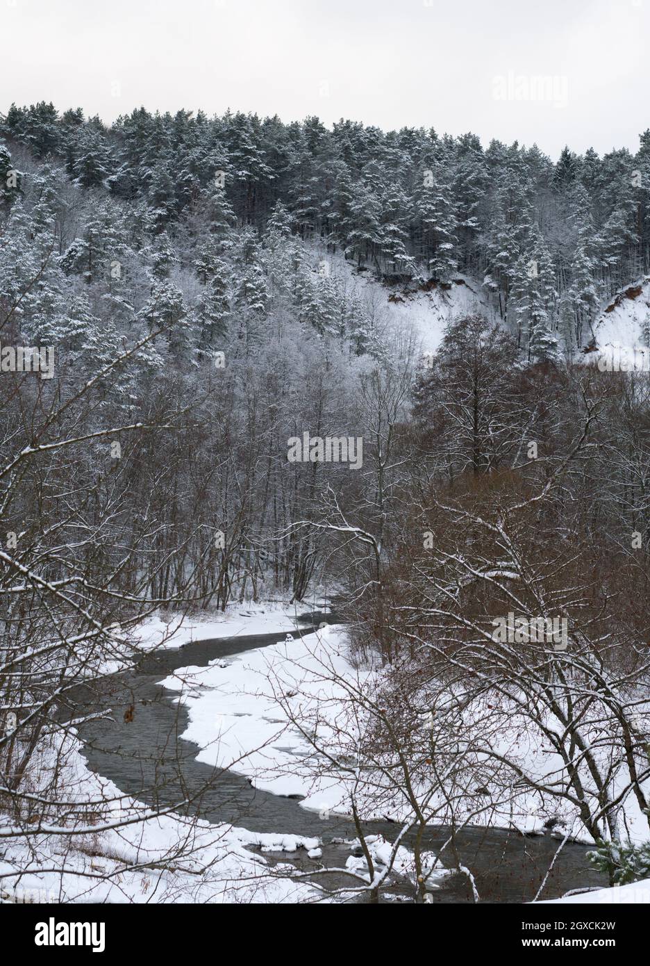 Winter landscape with river and snowy forest Stock Photo