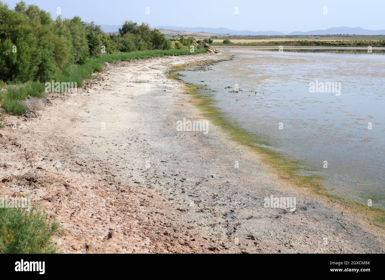 Alcaniz, Salada Pequena (endorheic salty lagoon). Bajo Aragon, Teruel, Aragon, Spain. Stock Photo