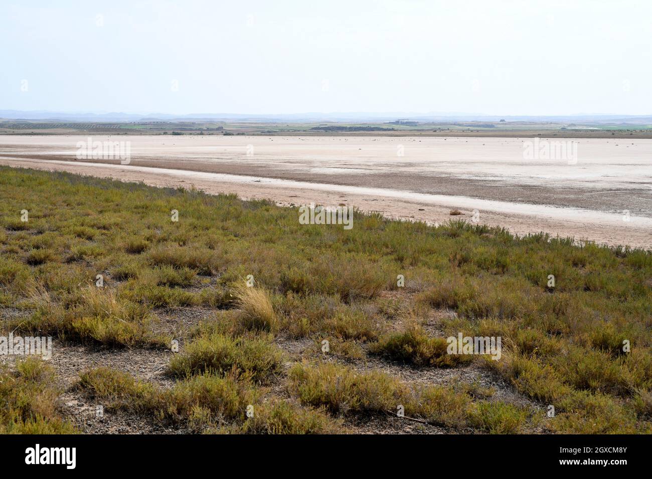 Alcaniz, Salada Grande (endorheic salty lagoon). Bajo Aragon, Teruel, Aragon, Spain. Stock Photo
