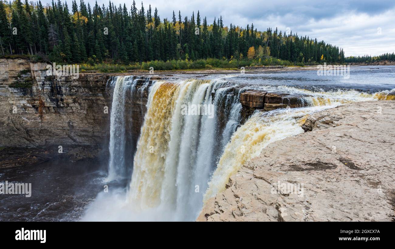 Canada wood buffalo national park hi-res stock photography and images -  Alamy