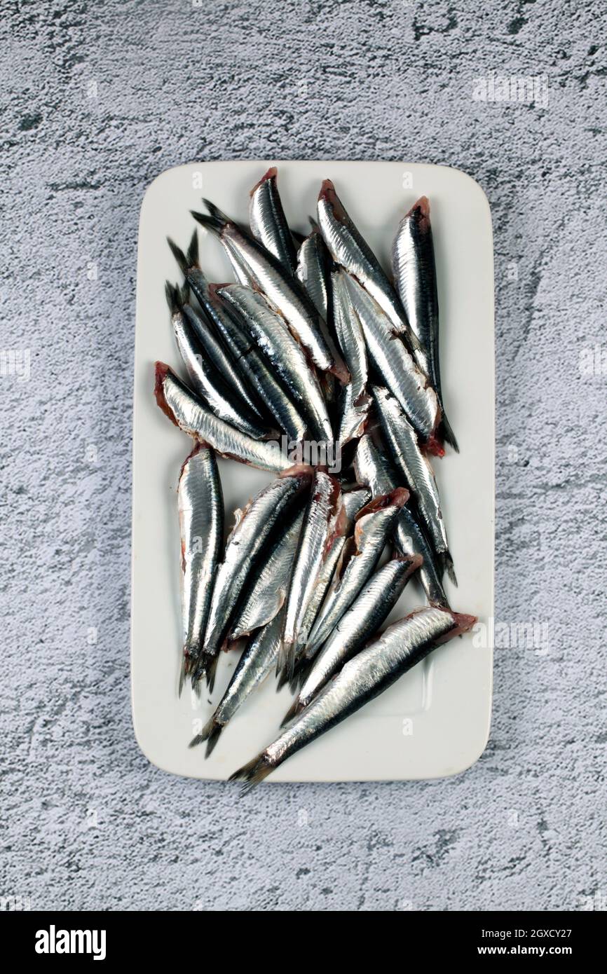 Raw anchovies in white tray Stock Photo Alamy
