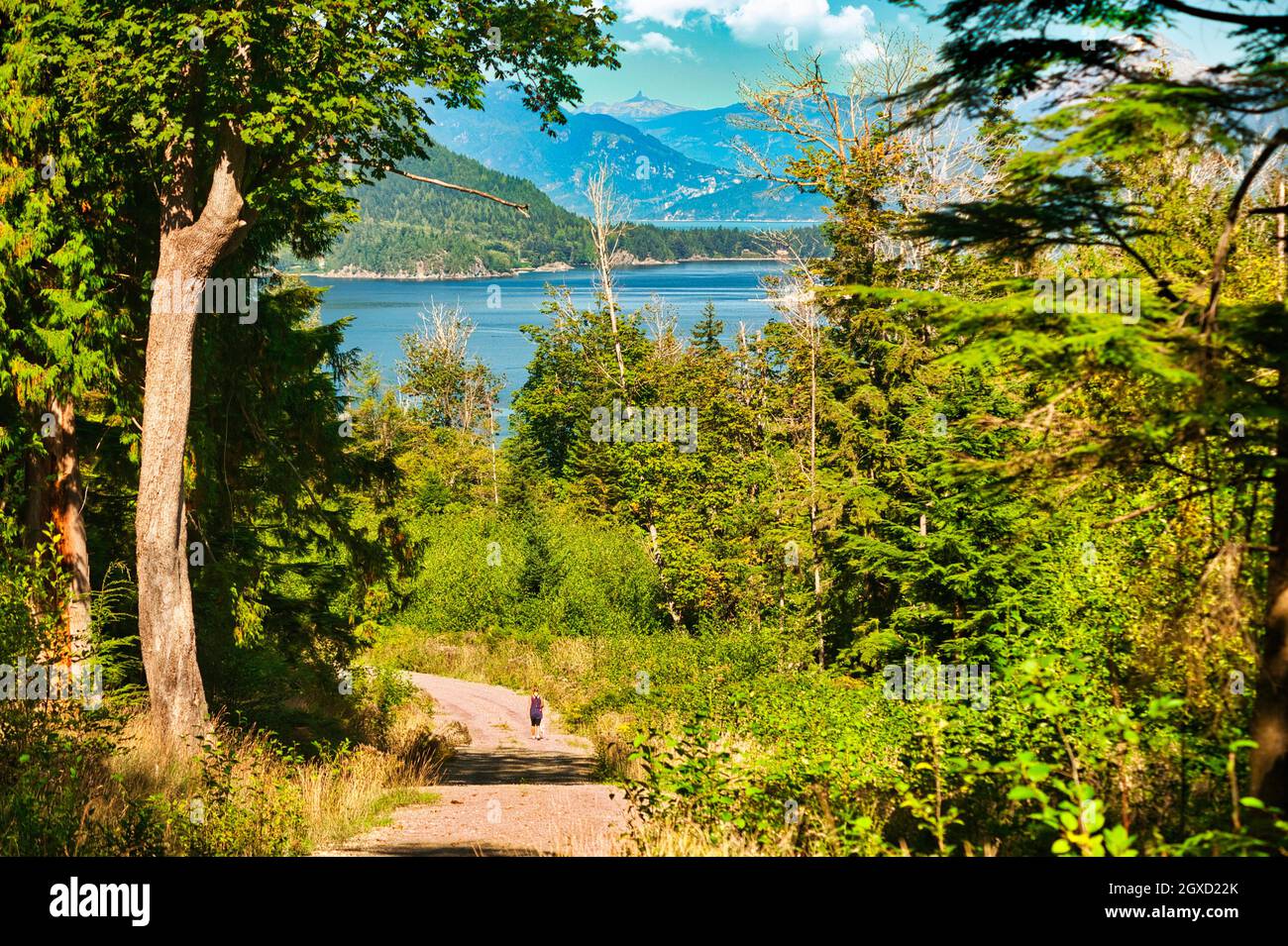 gravel road, Gambier Island, Howe Sound, British Columbia, Canada Stock