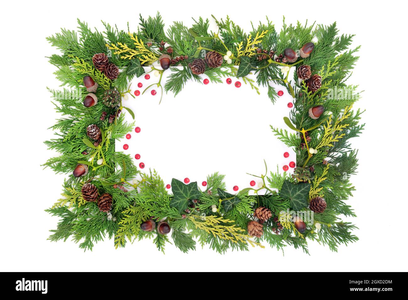 Winter, Christmas & New Year background border with red holly berries, cedar leaves, mistletoe, acorn, pine cone, ivy. Nature eco friendly composition. Stock Photo