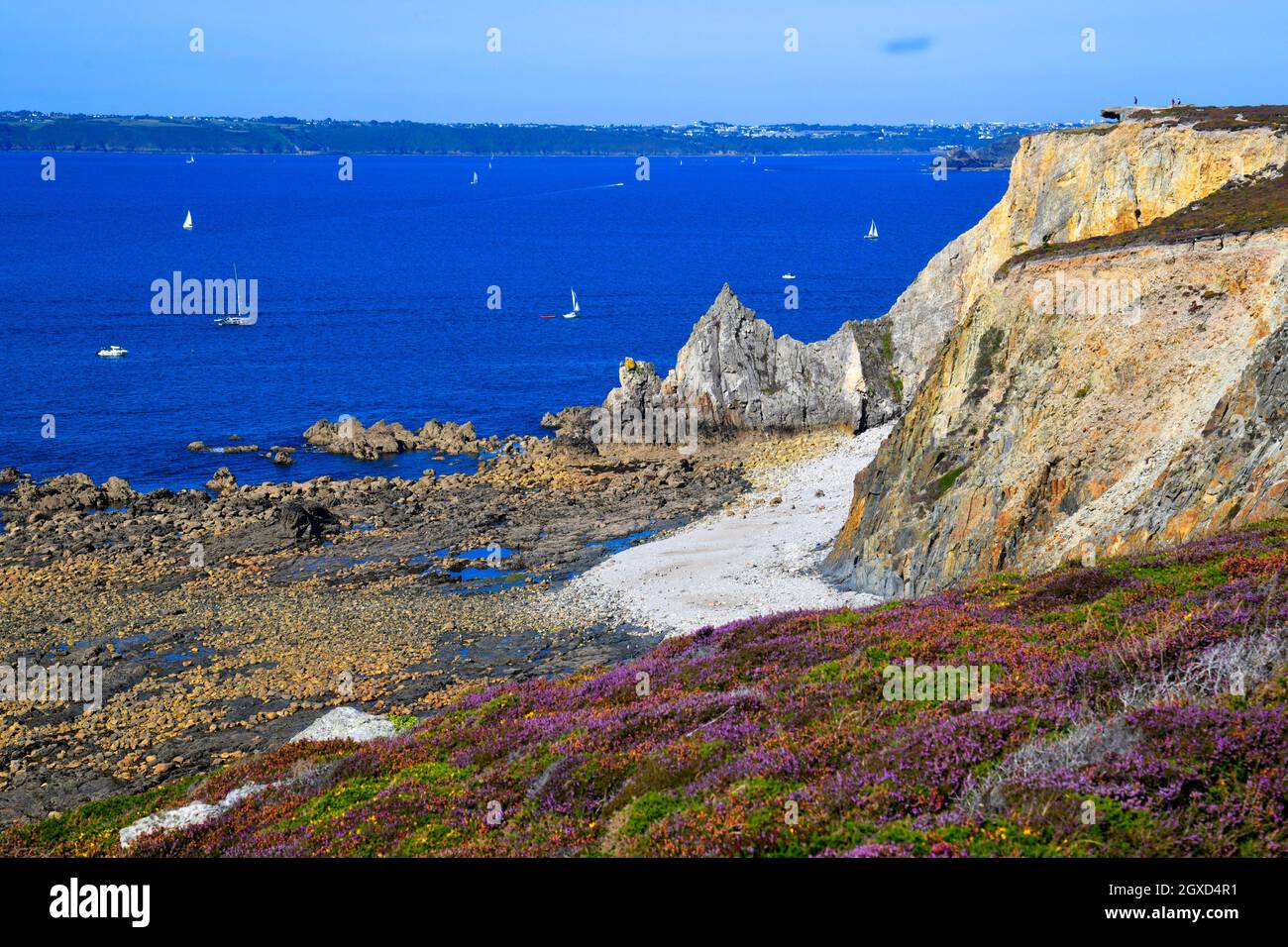 Camaret sur Mer, Presqu'ile de Crozon, Parc naturel regional d'Armorique, Brittany, Finistere department, France. Stock Photo