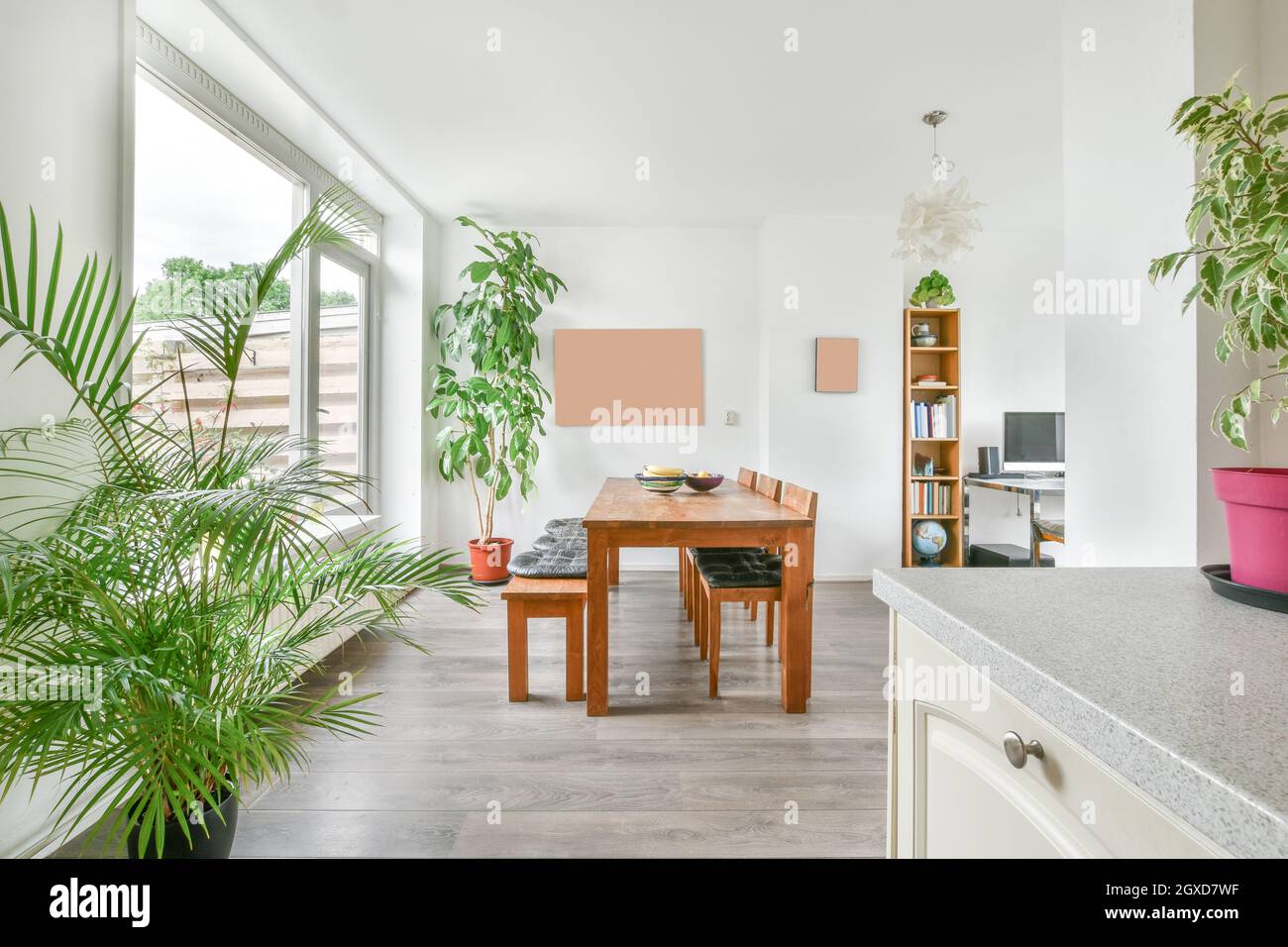 Interior of spacious dining room with wooden furniture and green potted ...