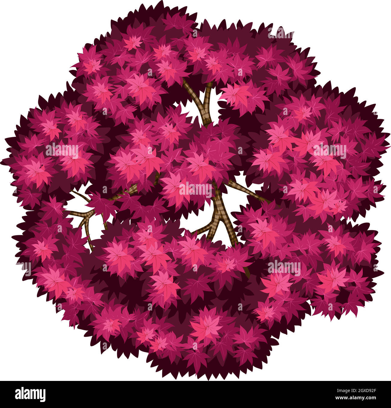 Picture maple Stock Vector Images - Alamy
