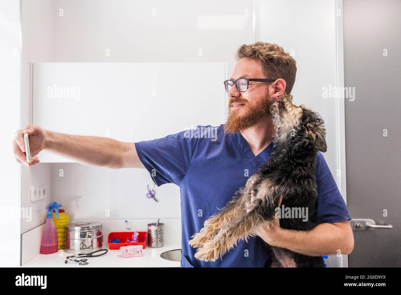 Positive male vet doctor taking self portrait with Yorkshire Terrier licking cheek in veterinary clinic Stock Photo