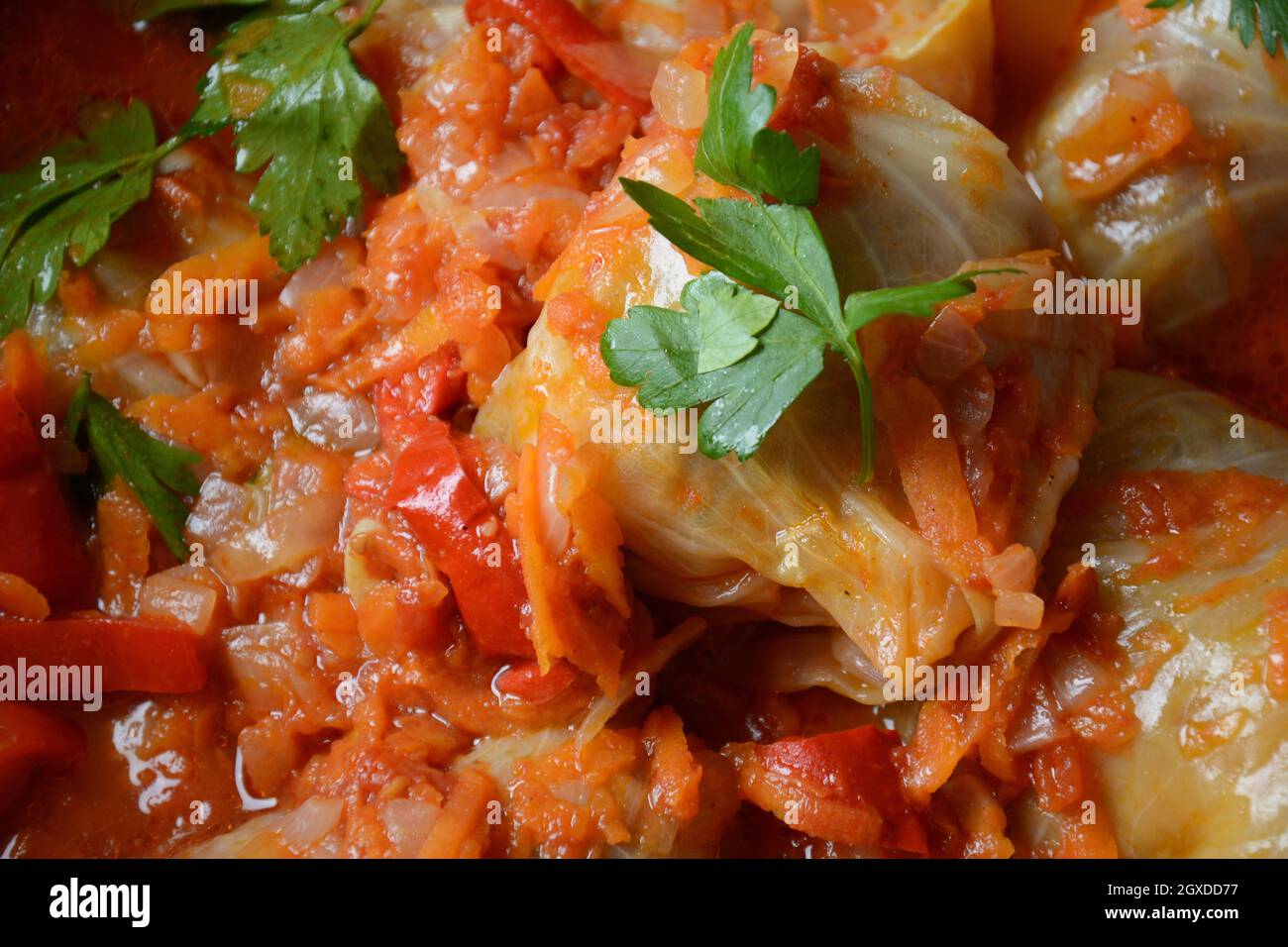 Cabbage rolls stuffed with ground beef and rice in tomato sauce Stock