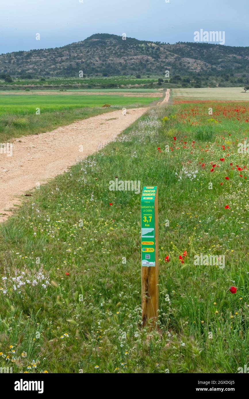 Route indicator. Poppy fields (Papaver rhoeas). Almansa. Albacete Castilla-La Mancha, Spain Stock Photo