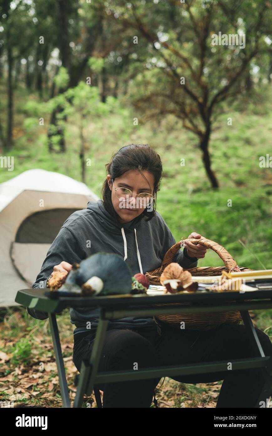 Female mycologist sitting at table against camping tent and taking mushrooms out of wicker basket in woods Stock Photo