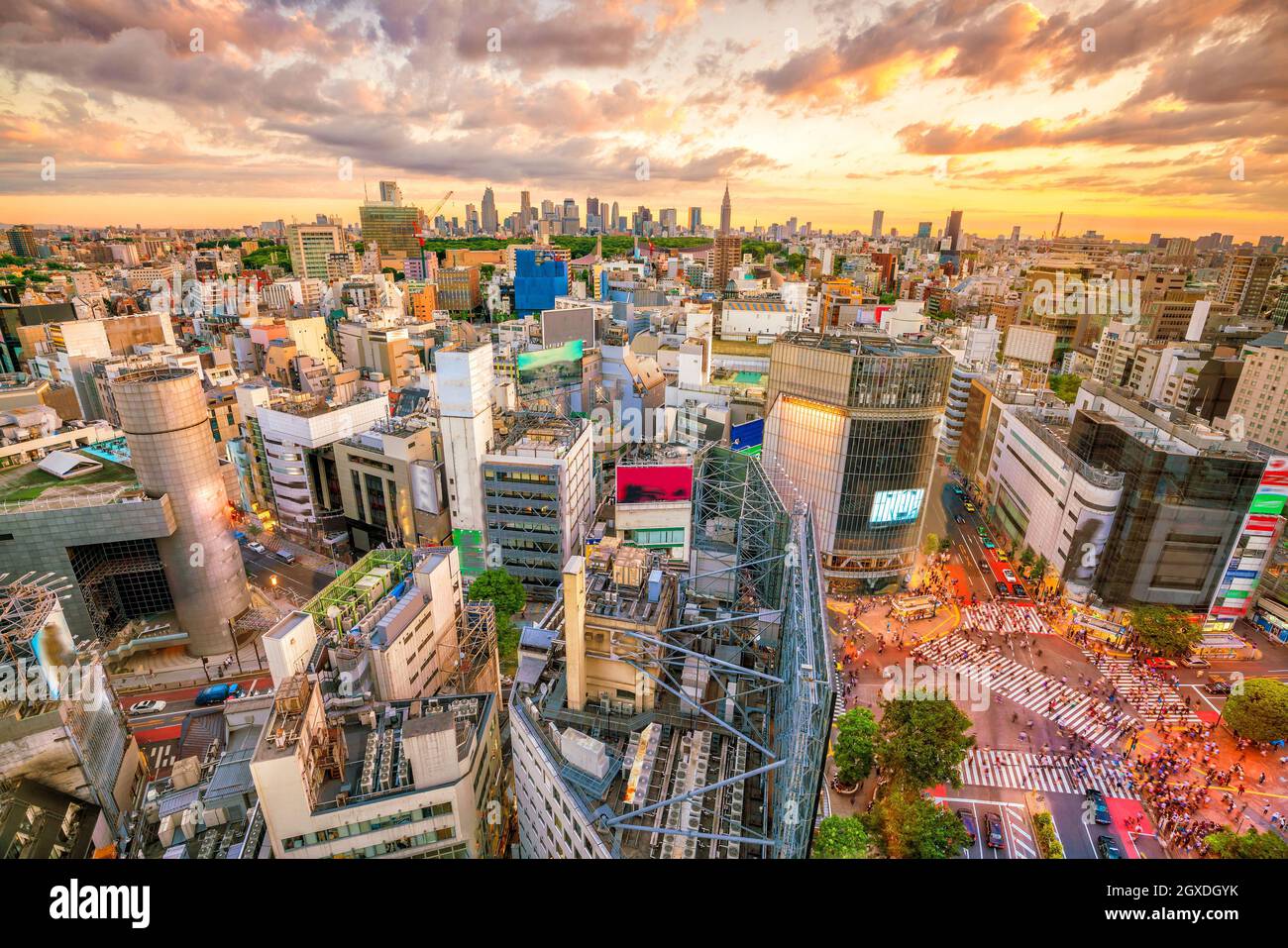 Shibuya Crossing from top view at twilight in Tokyo, Japan Stock Photo ...
