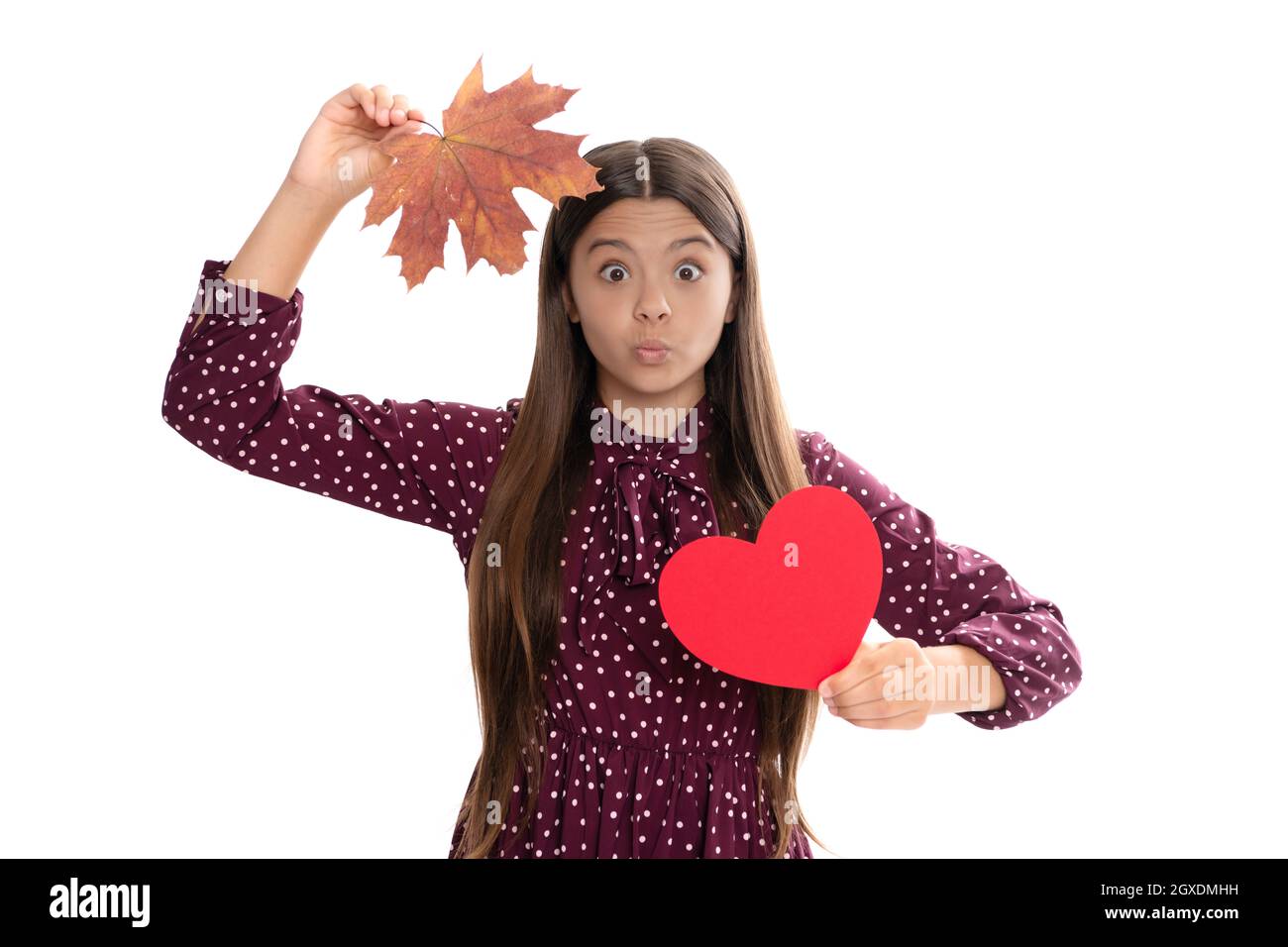 funny child having fun with maple leaf isolated on white background. autumn love. Stock Photo