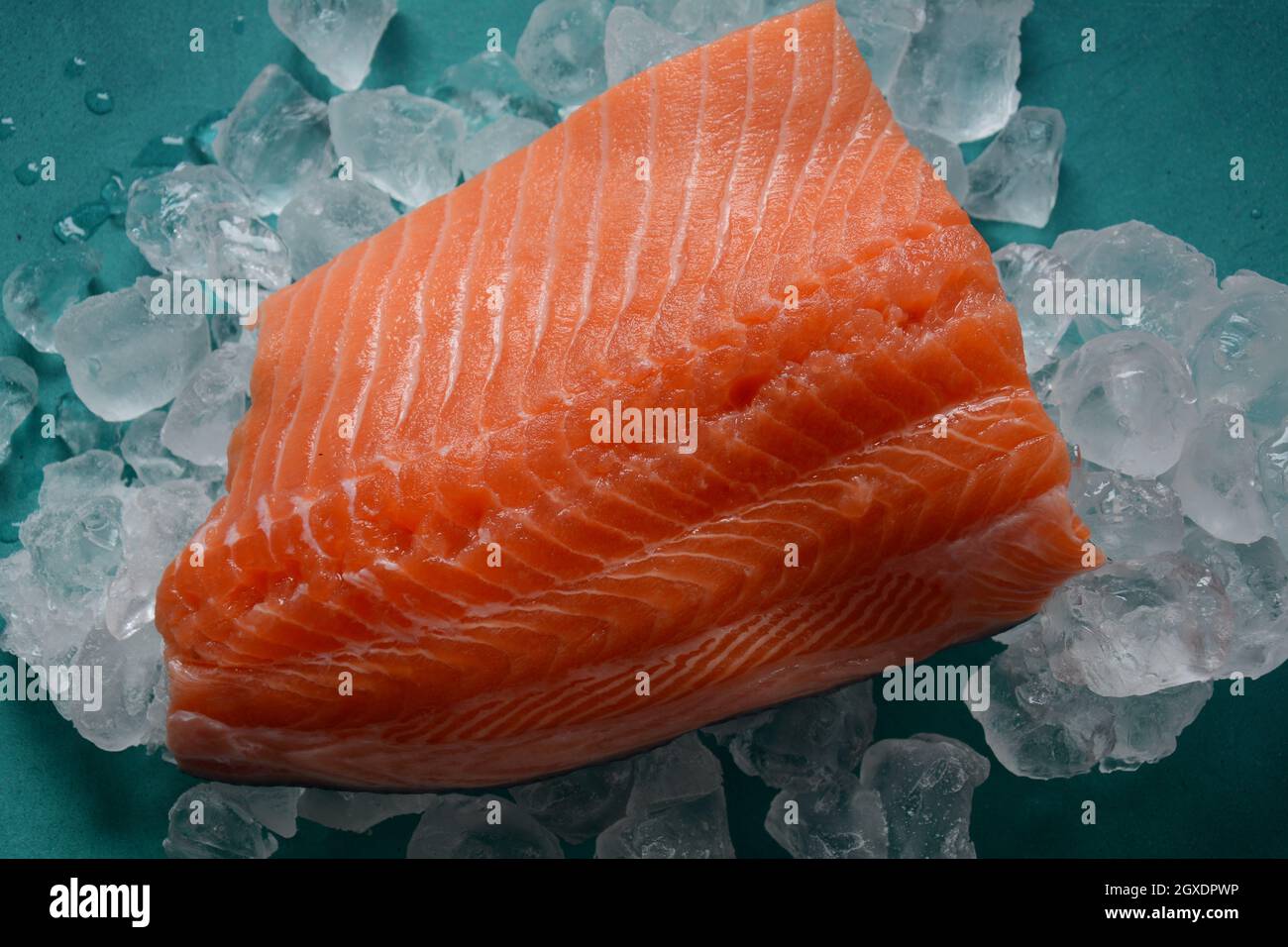 Raw salmon fillet on ice background Stock Photo - Alamy
