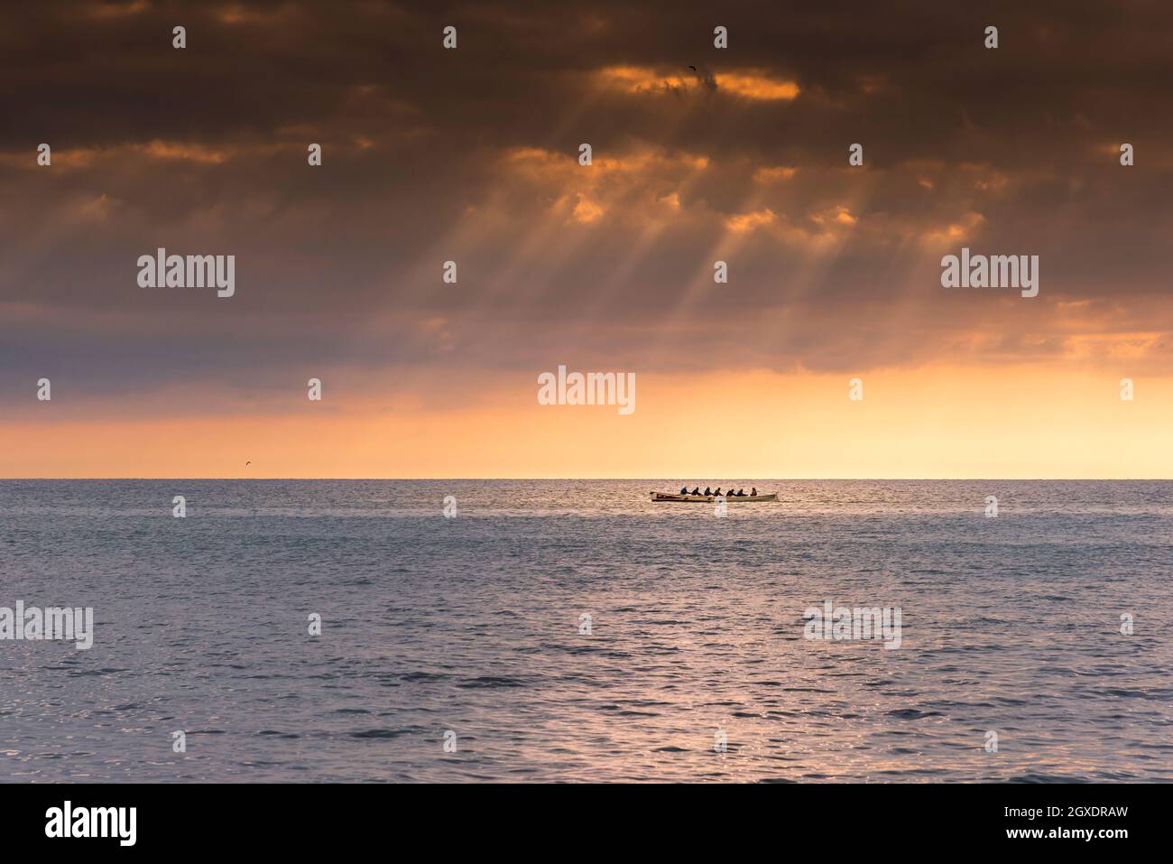 A traditional historic Cornish Pilot Gig being rowed as the sun sets over Fistral bay in Newquay in Cornwall. Stock Photo