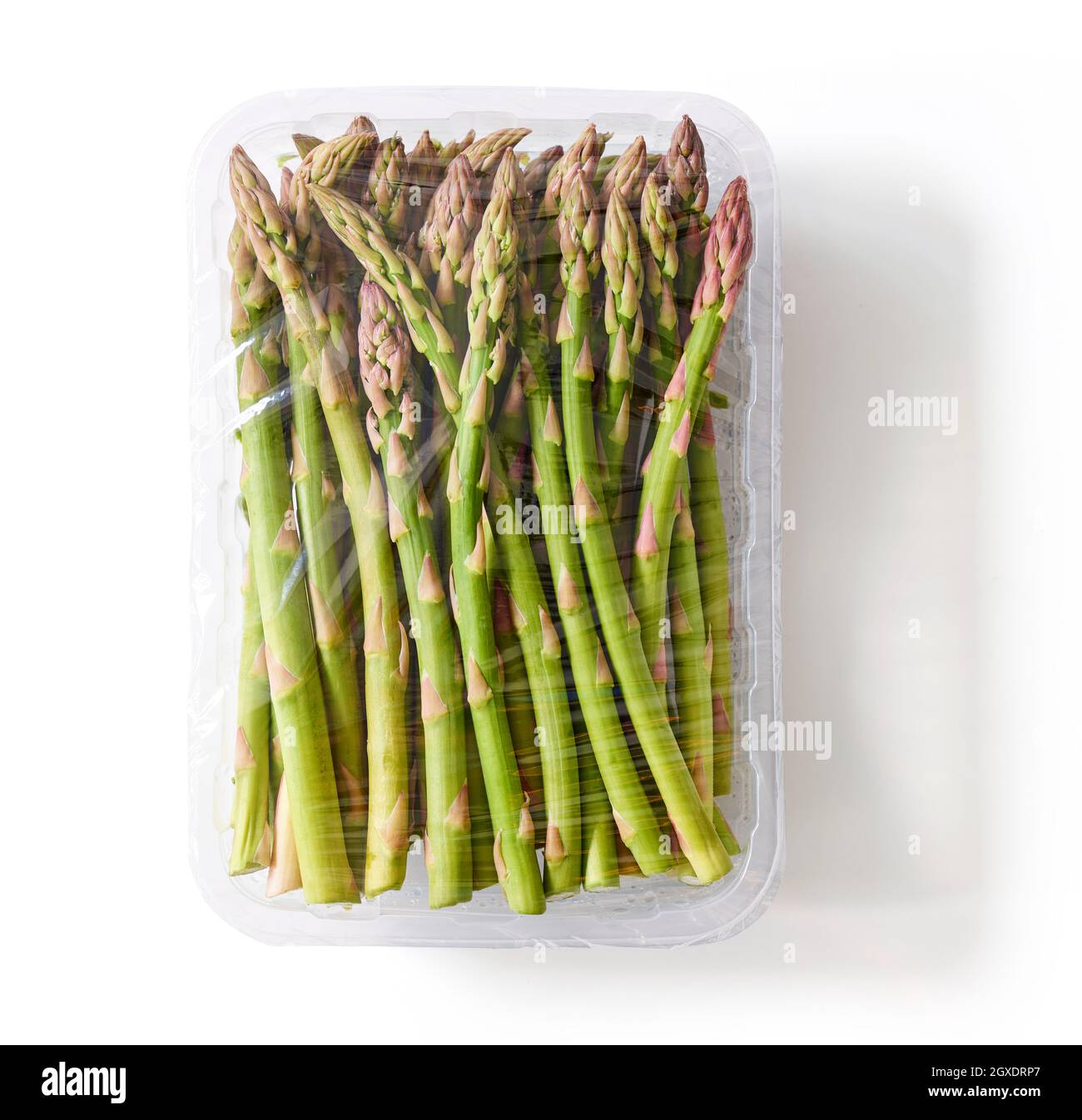 Packaged and sealed fresh asparagus for grocery store; isolated on