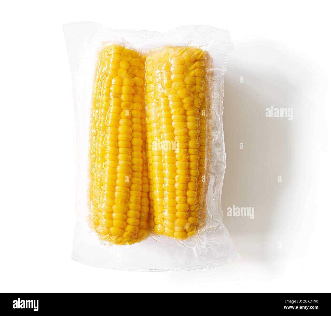 Packaged and sealed yellow corn ears for grocery store; isolated on