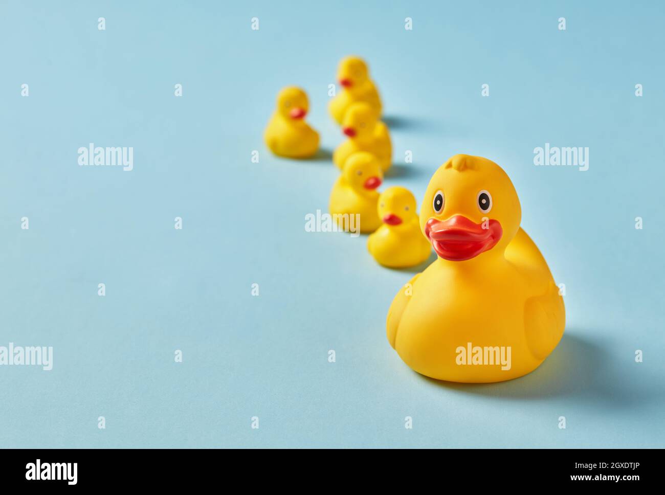 Rubber ducks on blue background Stock Photo