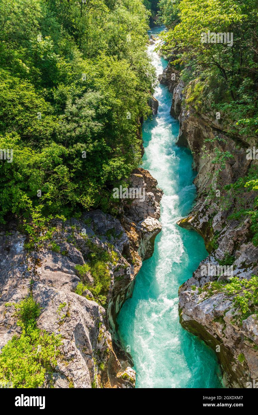 Rriver Soca, Triglavski national park, Slovenia Stock Photo