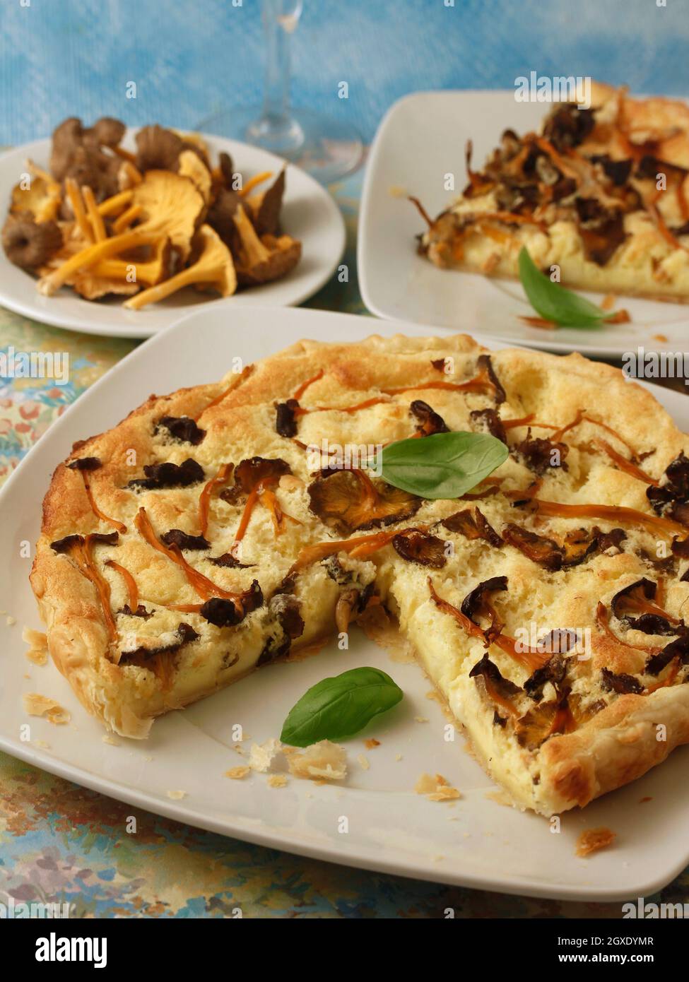 Quiche with mushrooms. Yellow foot fungi. Stock Photo