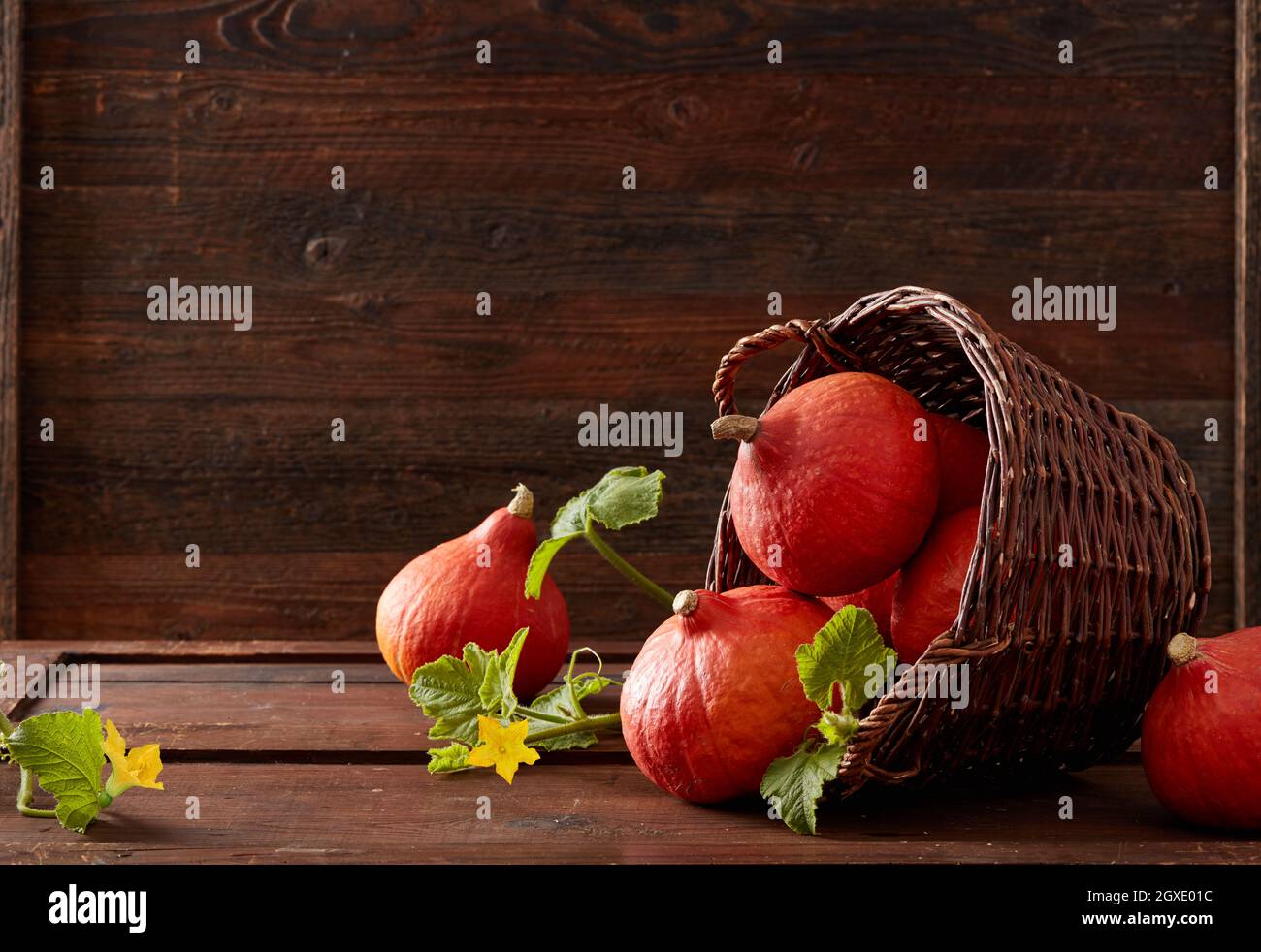 Autumn pumpkin background on wood Stock Photo - Alamy