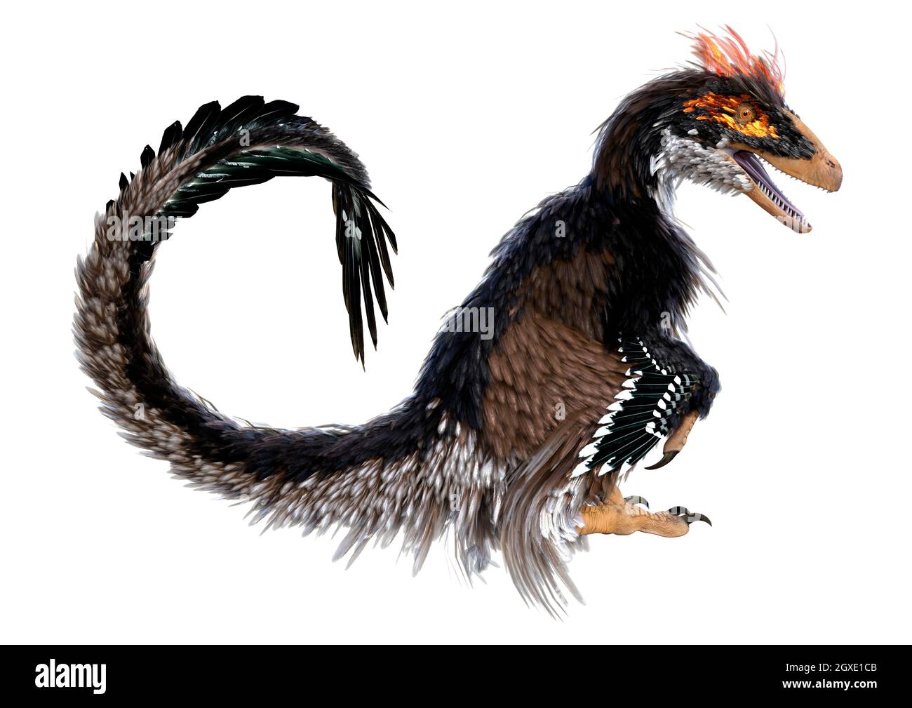 Deinonychus dinosaur, illustration Stock Photo - Alamy