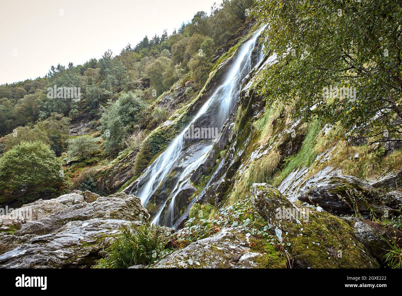 Majestic water cascade of Powerscourt Waterfall, the highest waterfall in Ireland. Famous tourist attractions in co. Wicklow, Ireland. Stock Photo