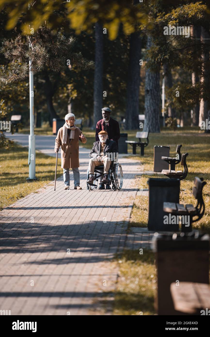 Multiethnic friends with walking cane and wheelchair walking in autumn