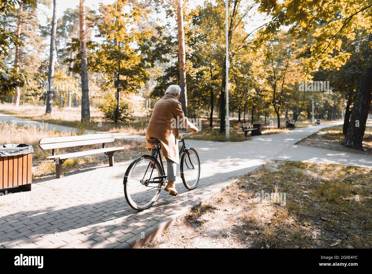 Elderly man riding bicycle in autumn park Stock Photo