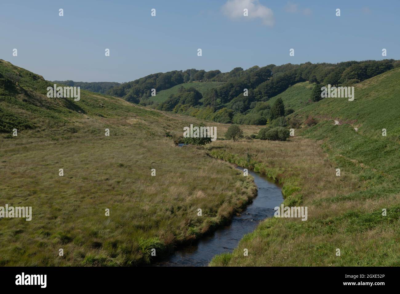 Summer Landscape of Moorland in the River Barle Valley within Exmoor National Park in the Rural Somerset Countryside, England, UK Stock Photo