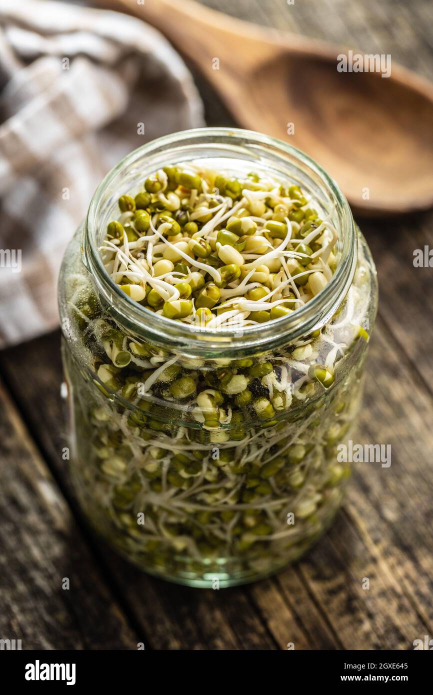 Sprouted green mung beans. Mung sprouts in jar Stock Photo Alamy
