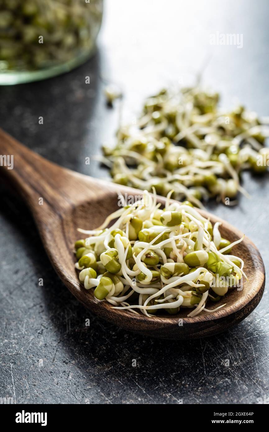 Sprouted green mung beans. Mung sprouts in wooden spoon. Stock Photo