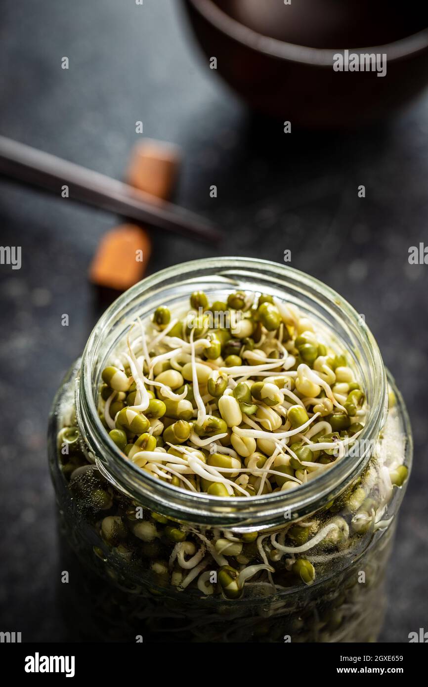 Sprouted green mung beans. Mung sprouts in jar Stock Photo Alamy