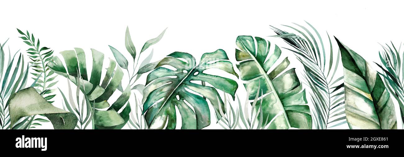 Watercolor tropical leaves seamles border isolated Stock Photo