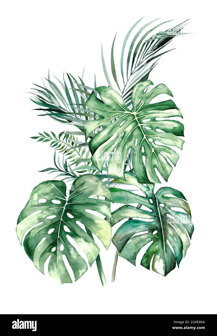 Watercolor tropical leaves bouquet illustration Stock Photo - Alamy
