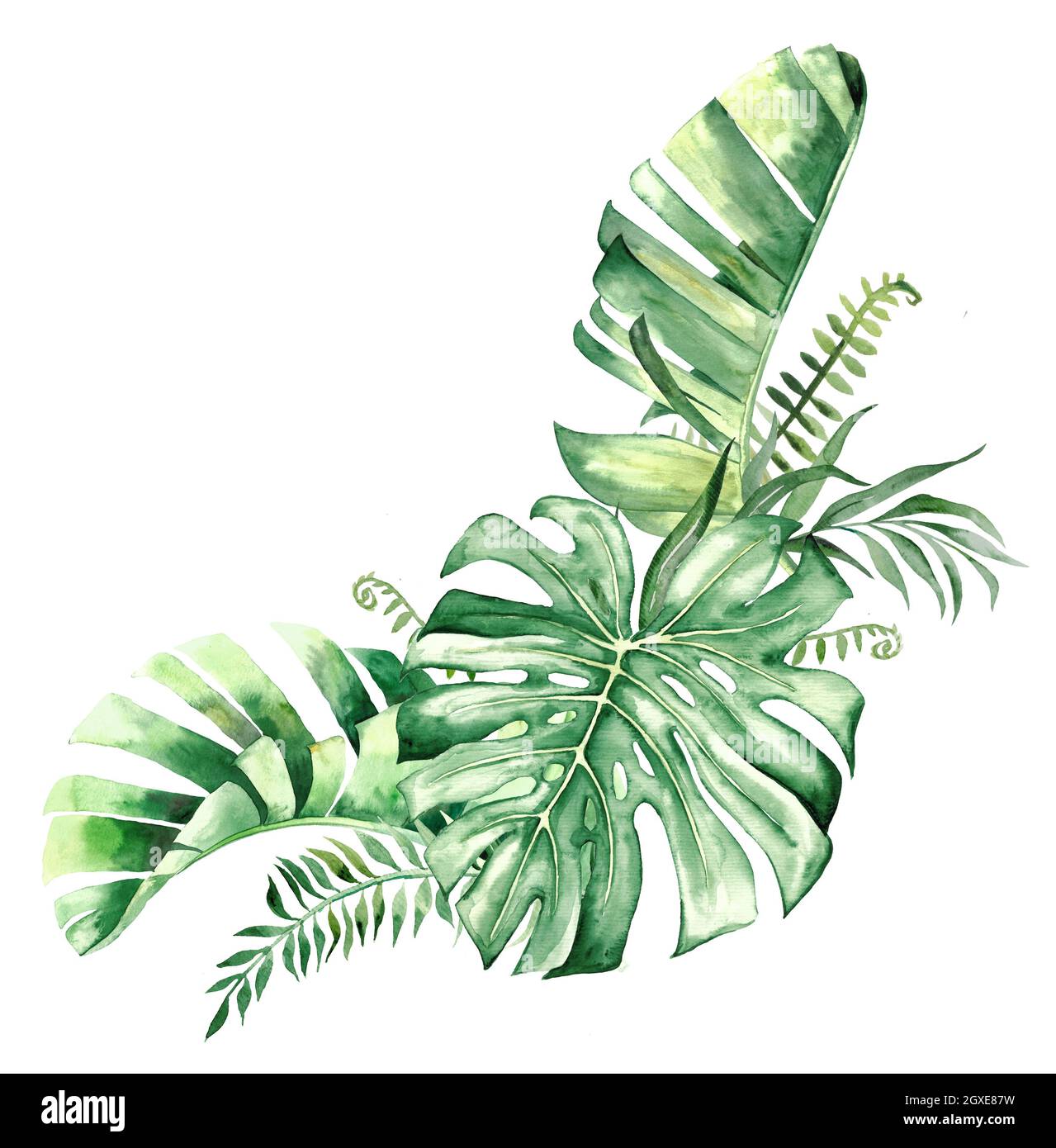 Watercolor tropical leaves bouquet illustration Stock Photo - Alamy