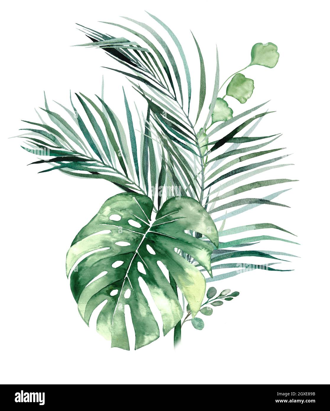 Watercolor tropical leaves bouquet illustration Stock Photo - Alamy