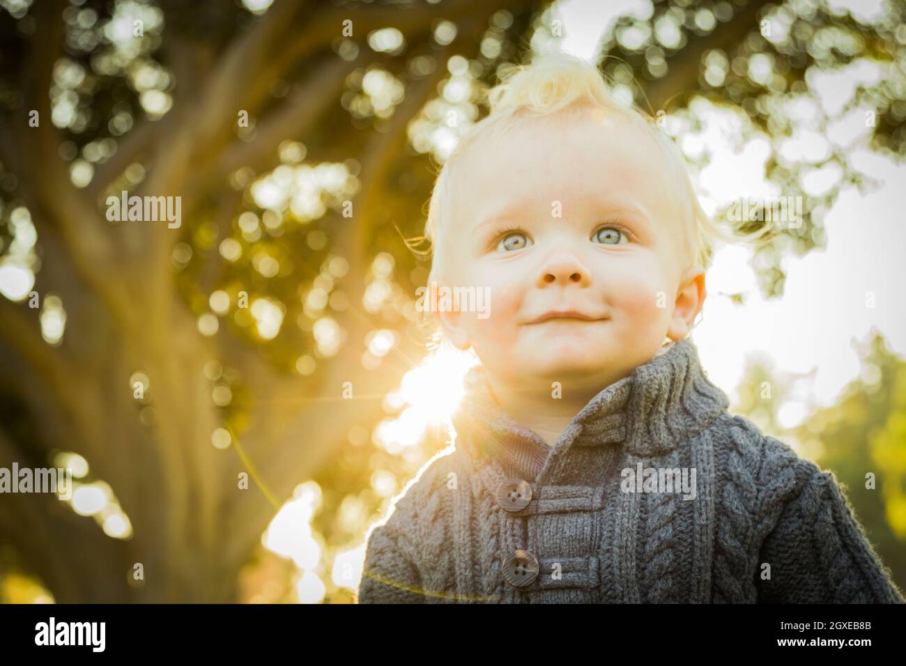 Adorable Little Blonde Baby Boy Outdoors at the Park Stock Photo - Alamy
