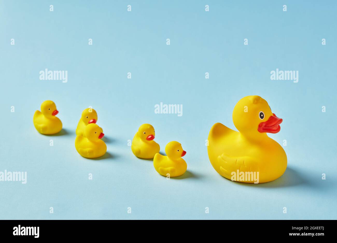 Rubber ducks on blue background Stock Photo
