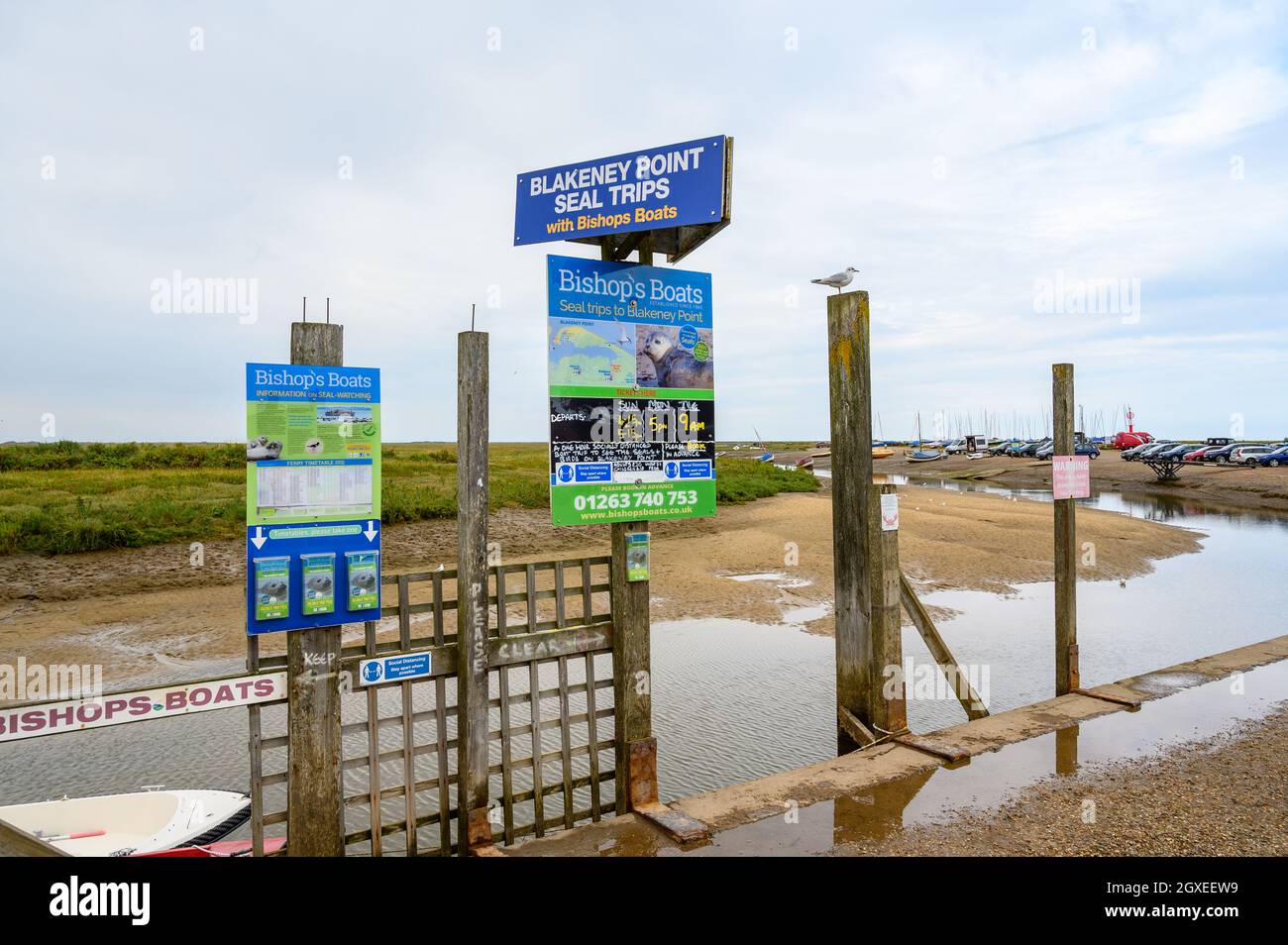 Advertising and information board at Blakeney village and river Glaven for Bishops Boats seal trips to Blakeney Point, Norfolk, England. Stock Photo