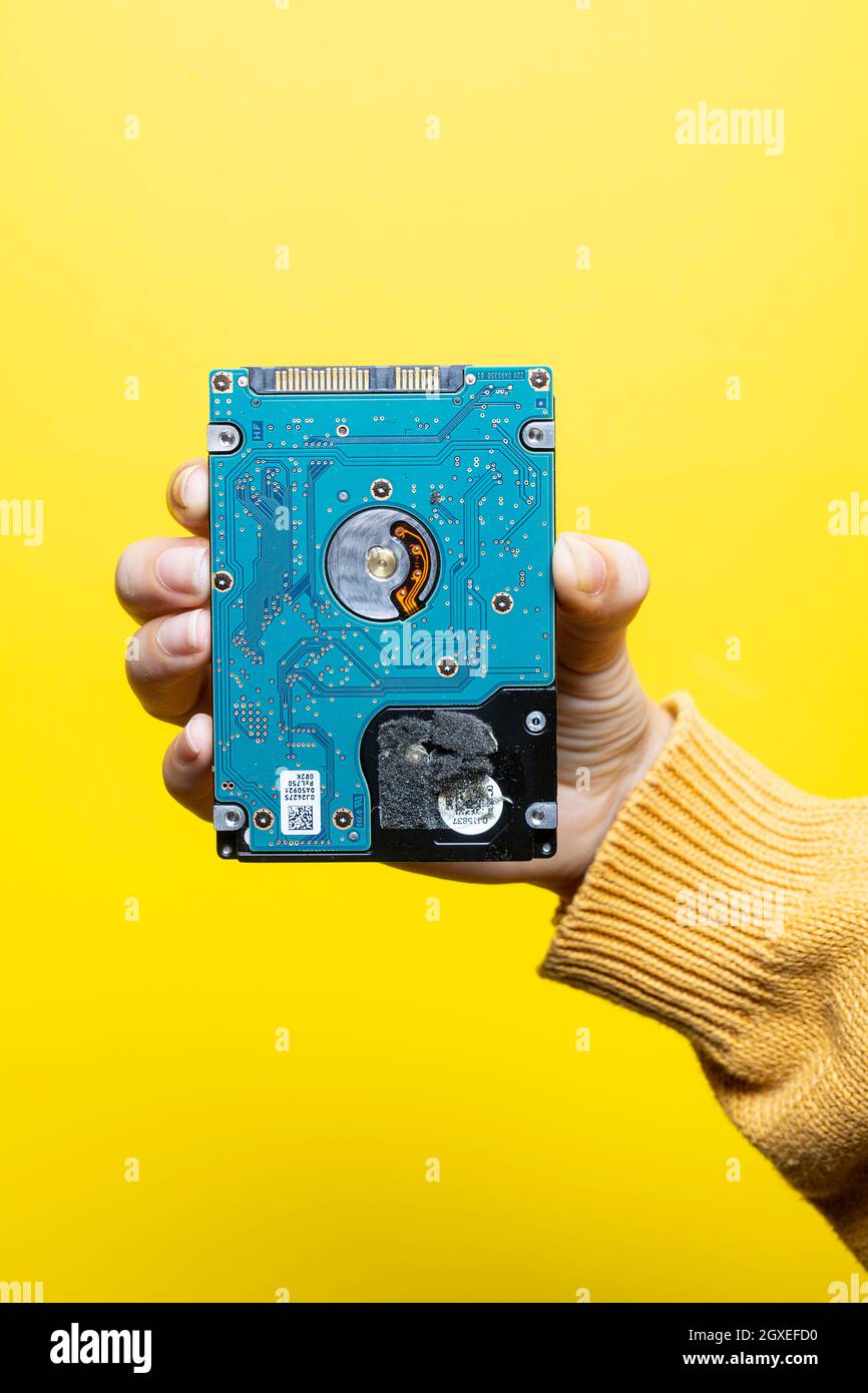 A 2.5-inch hard drive in a woman's hand Stock Photo