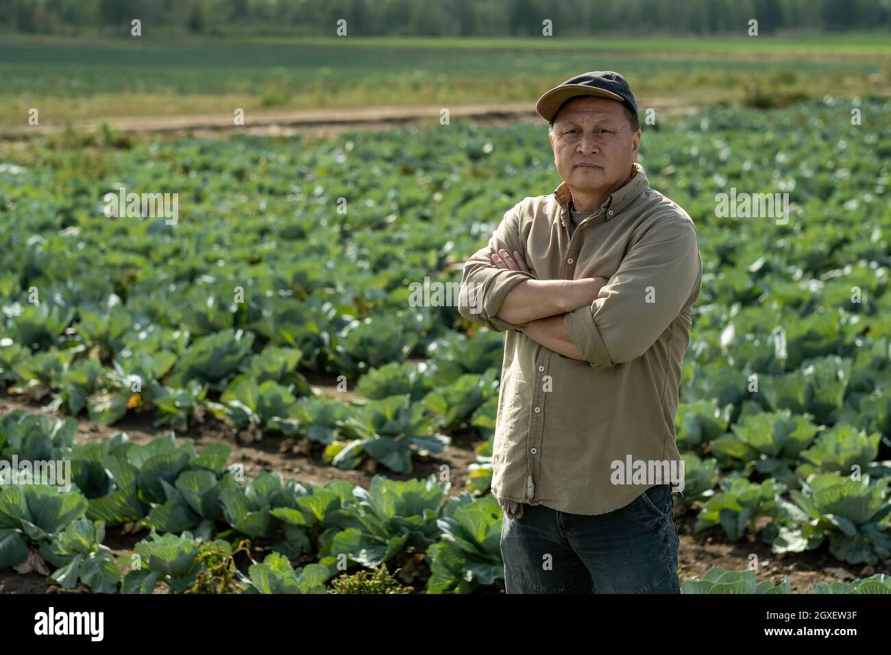 Serious owner of large plantation or farm looking at you against cabbage field Stock Photo