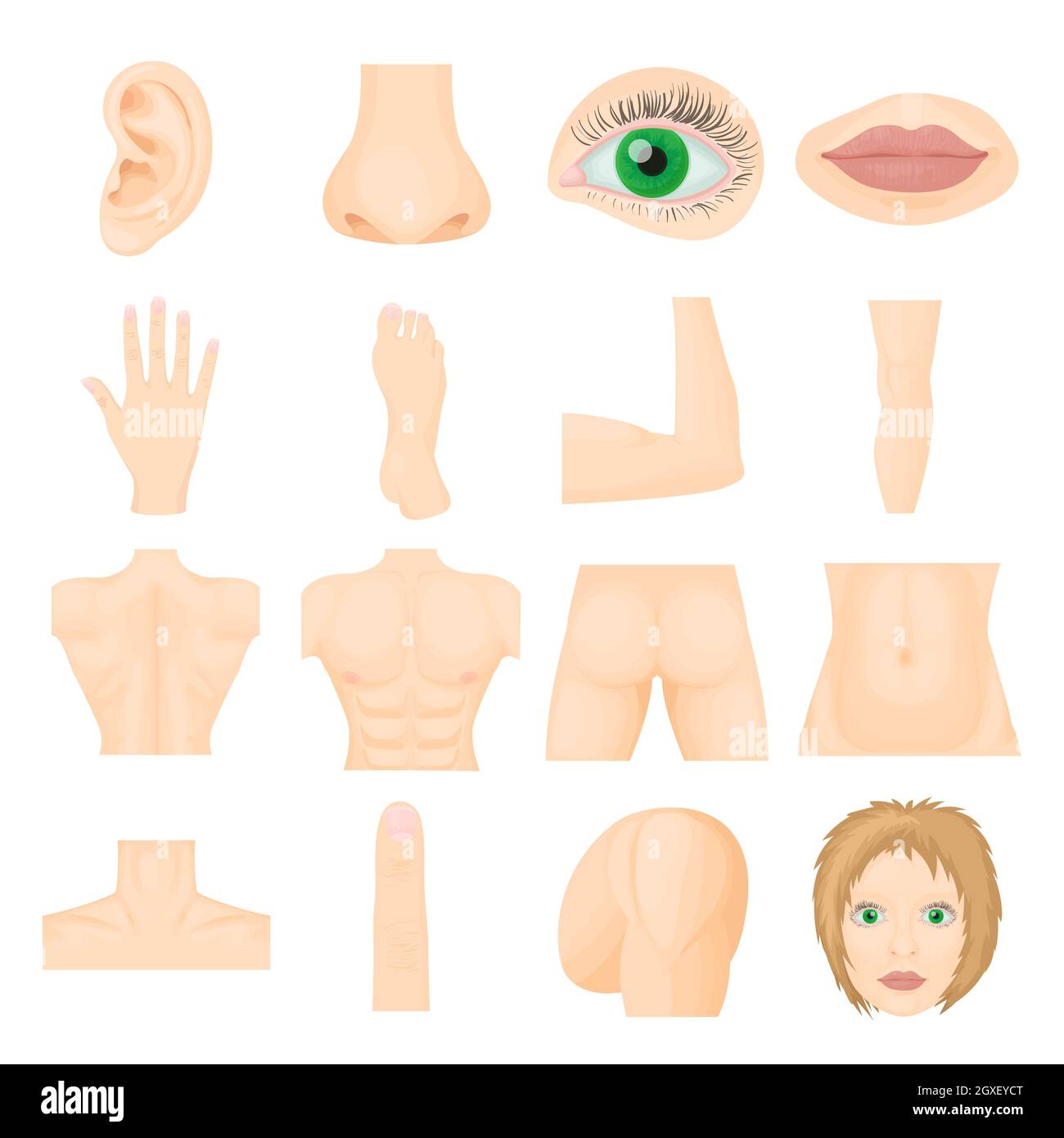 8,410 Body Parts Animation Royalty-Free Images, Stock Photos